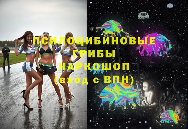 дмт Арсеньев