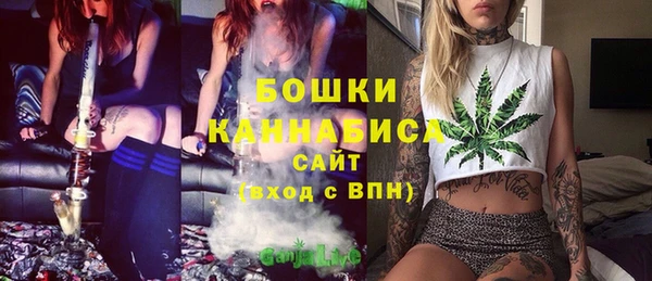 дмт Арсеньев
