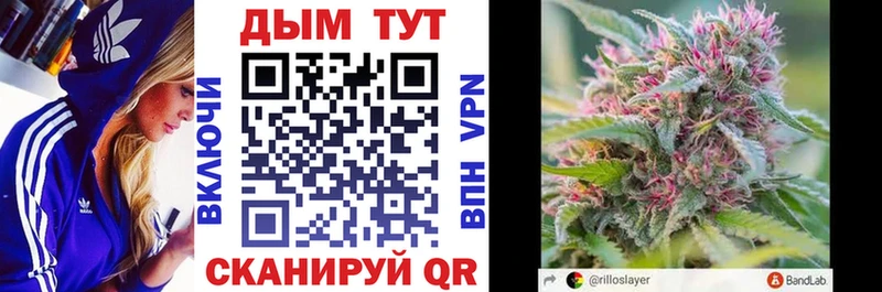 Бошки Шишки Bruce Banner  Купить где  Апатиты 